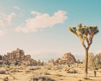 Winter in the Desert No. 3 Fine Art Print