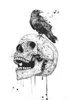 New Skull Fine Art Print