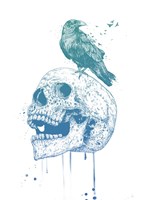 New Skull (Blue) Fine Art Print