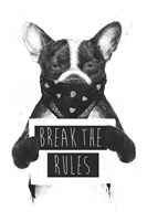 Rebel Dog Fine Art Print