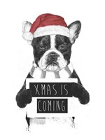 Xmas is Coming Fine Art Print