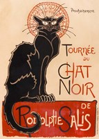 Chat Noir Fine Art Print