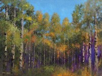 Aspen Autumn Fine Art Print