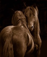 Tenderness I Fine Art Print