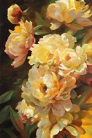 Peonies for Springtime Fine Art Print