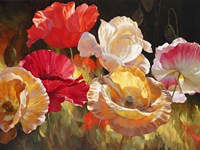 Poppy Celebration Fine Art Print