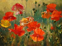 Poppy Fields Fine Art Print