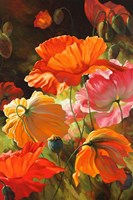 Springtime Blossoms Fine Art Print