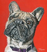 Amour Fine Art Print