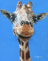 Norman Fine Art Print