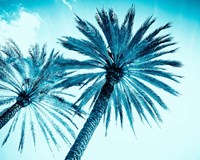 Chic Palms Fine Art Print
