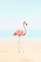 Flamingo on the Beach II Fine Art Print