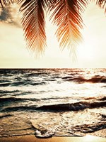 Night Beach Fine Art Print