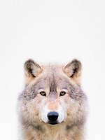 Wolf Fine Art Print