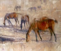 Kentucky Morning 3 Fine Art Print