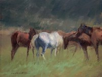 Southern Horses Fine Art Print