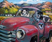 1-800 Ewe Guys Fine Art Print