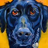 Black Dog Fine Art Print