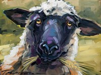 Bless Ewe Fine Art Print