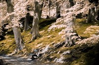 A Fine Place to Rest Fine Art Print