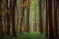 Arriving Nowhere Fine Art Print