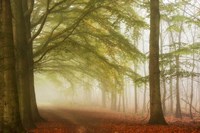 Dreamwalkers Fine Art Print