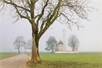 Pilgrimage Church of St. Coloman Fine Art Print