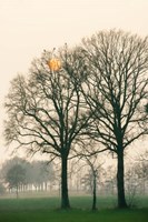 Preparing for Sunset Fine Art Print