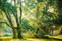 Receiving and Giving Fine Art Print