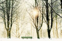 Too Cold To Sit Fine Art Print