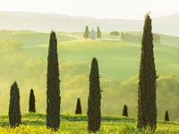 Tuscan Temple Fine Art Print