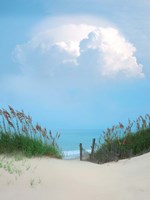 Crown Fine Art Print