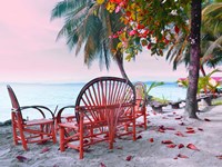 Good Morning Fine Art Print