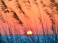 Sun Dance Fine Art Print