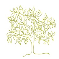 A Citron Tree Fine Art Print