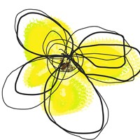 Yellow Petals Two Fine Art Print