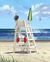 Pelican Perch Fine Art Print