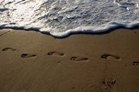 Footprints Fine Art Print