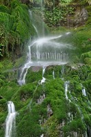 Moss Waterfall Fine Art Print