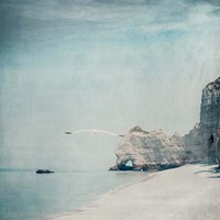 Gliding Fine Art Print