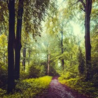 Never the Same Again Fine Art Print