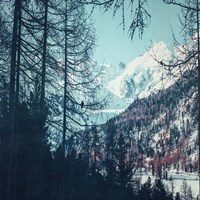 Please Come Back Fine Art Print