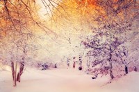 Snowy Sunrise Fine Art Print