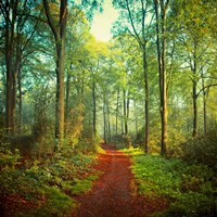 Sunday Morning Walk Fine Art Print