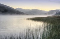 Crescent Beach Calm 1 Fine Art Print