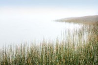 Crescent Beach Calm 3 Fine Art Print