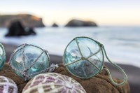 Crescent Beach Shells 16 Fine Art Print