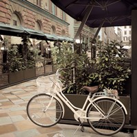 Firenze Bicycle Fine Art Print