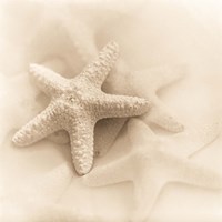 Il Oceano No. 1 Fine Art Print