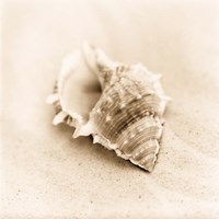 Il Oceano No. 3 Fine Art Print